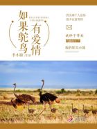 ��������а���