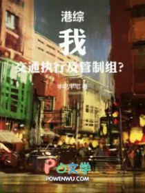 港综：我，交通执行及管制组？