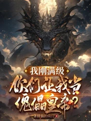 我刚满级，你们让我当傀儡皇帝？