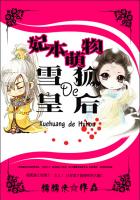 ��������:ѩ�ʵĺ���