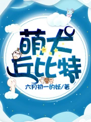 ��Ȯ�����