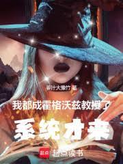 �Ҷ��ɻ������Ƚ����ˣ�ϵͳ����