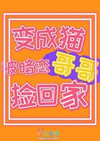 �٣����ר��ë��������