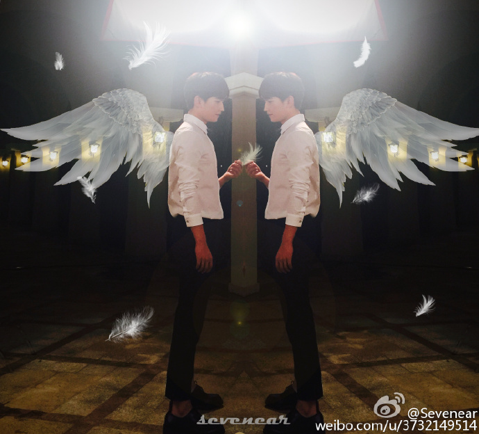 �ϳ����--������