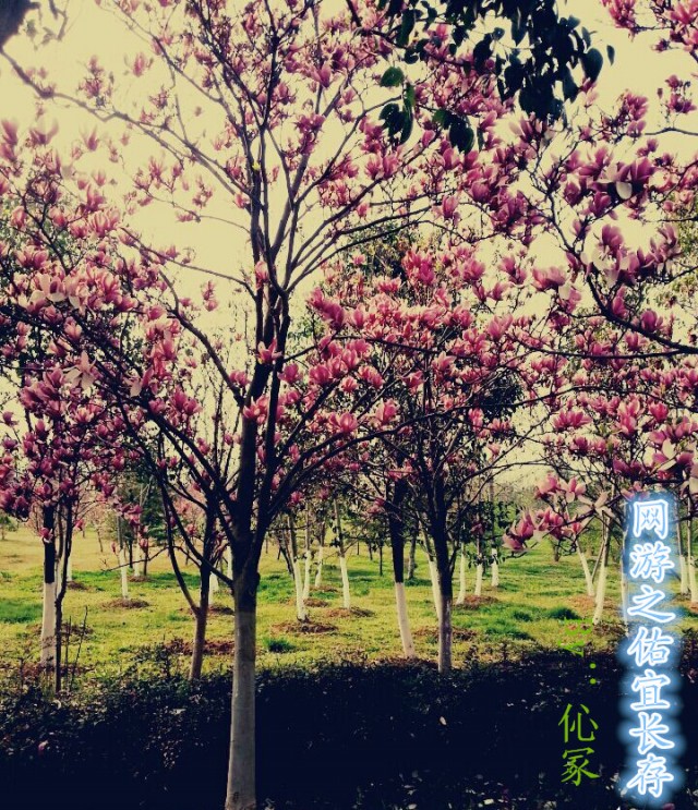 ����֮���곤��