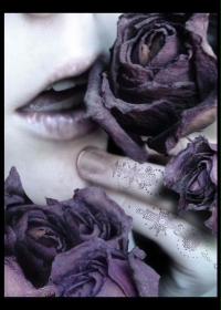 ��ɫ���