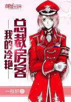 �ҵ������ܲ÷���