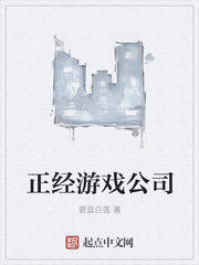 ������Ϸ��˾