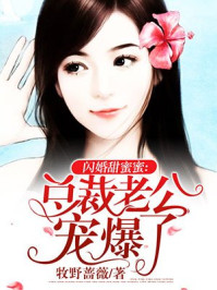 �����Ϲ��豬��